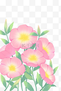 盛开花朵手绘图片_春季春天粉色花朵植物花草叶子装