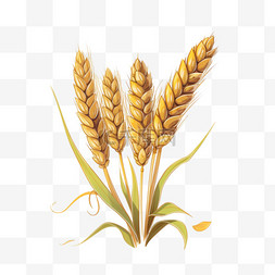 卡通手绘金色小麦麦穗