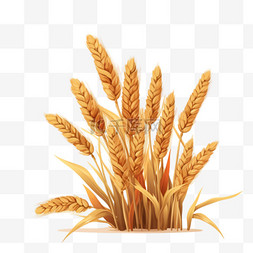 卡通手绘金色小麦麦穗