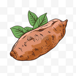 扁平卡通免抠图素材红薯