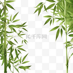 端午节边框图片_端午节竹子竹叶边框元素