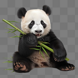 卡通艺术字图片_卡通扁平可爱熊猫吃竹子