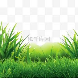 绿草背景写实风格
