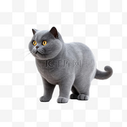 猫咪卡通png图片_卡通3D英短蓝猫宠物猫咪免抠元素