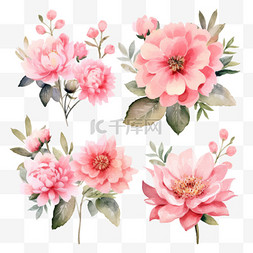 花景图片_水彩粉色花束收藏