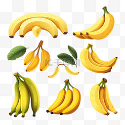 敬礼的青少年图片_香蕉平面，内含未熟和过熟香蕉水
