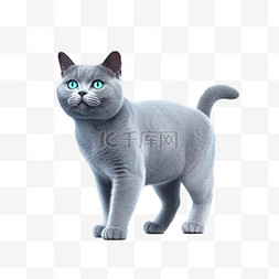 喵星人卡通图片_卡通3D英短蓝猫宠物猫咪免抠元素
