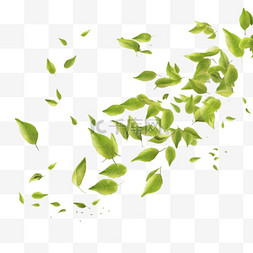 参天绿树图片_绿茶在空中飞舞的3D背景