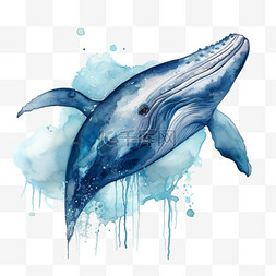 蓝色卡通创意海洋鲸鱼