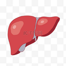 身体器官图片_手绘卡通肝免抠元素