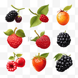 草莓蓝莓树莓图片_彩色水果浆果蓝莓树莓草莓