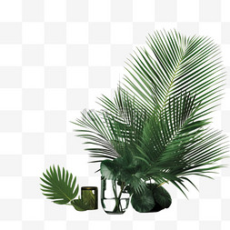 棕榈叶植物装饰实物模型插图