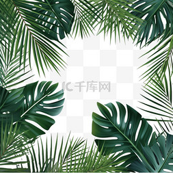 绿叶框架图片_棕榈叶实物模型植物装饰插图
