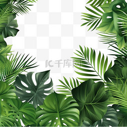 装饰较图片_植物热带树叶装饰边框