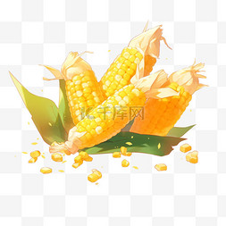 秋季背景图片_秋天秋季丰收果实玉米金黄色的玉