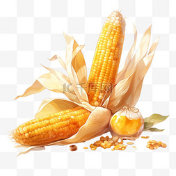 秋季农作物丰收图片_丰收果实玉米金黄色的玉米秋天秋