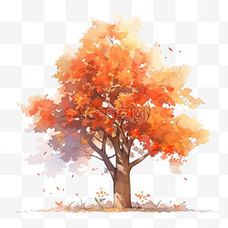 黄色秋季背景图片_秋天植物法国梧桐树秋天的梧桐树