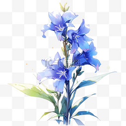 花卉植物蓝铃花草花卉花元素