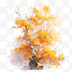 手绘秋天的树叶图片_秋天植物树叶大树黄色叶子的树木