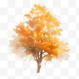 法国国旗图片_秋天植物法国梧桐树秋天的梧桐树