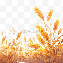 白色背景图片_秋天丰收的麦穗卡通元素