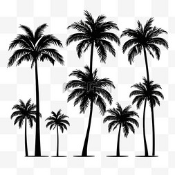 棕榈树剪影套装