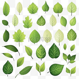 绿色绿叶叶子树叶装饰贴纸包装