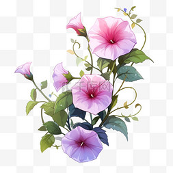手绘盛开花朵图片_紫色的牵牛花花朵植物元素