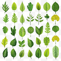 绿色绿叶叶子树叶贴纸包装装饰