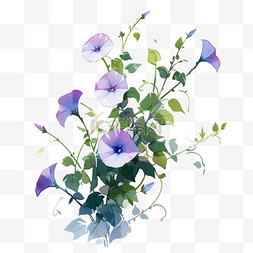 紫色花朵背景图片_盛开的紫色牵牛花手绘元素