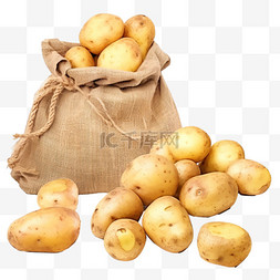 袋子图片_丰收的土豆袋子中的土豆免抠摄影