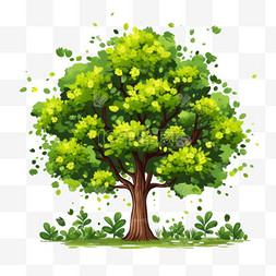 绿色的植物大树树木