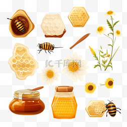 蜂蜜食品元素用雏菊蜂巢隔离矢量