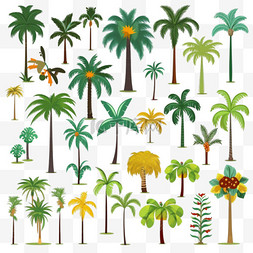 面图片_各种卡通棕榈树平面图标集