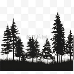 树剪影图片_松林的剪影，白色上有高大的常青
