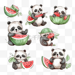 熊猫吃西瓜图片_一组有趣的手绘熊猫宝宝在冥想惊