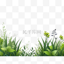 夏季背景图片_带有植被的逼真夏季背景底边