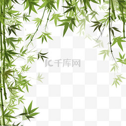 中国花木图片_白色背景上隔离的带有复制空间的