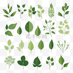 矢量茶树图片_保留绿色图标集。不同的优雅造型