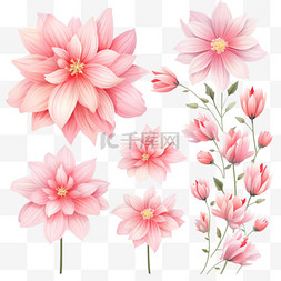 粉色花朵背景图片_粉色花朵套装