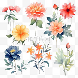 卡通花卉插图图片_花卉水彩画风格花卉元素收藏套装