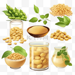 绿叶图片_一套大豆食品，带有成熟的豆子和