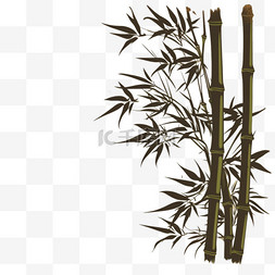 植物树影图片_旧纸背景上的中国竹子