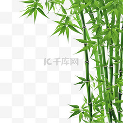 蚂蚁上树图片_白色背景上隔离的带有复制空间的