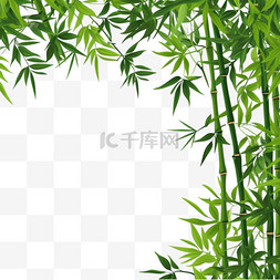 花卉背景图片_白色背景上隔离的带有复制空间的