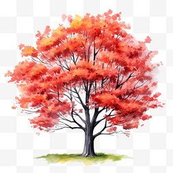 水彩风格红叶大树免扣元素