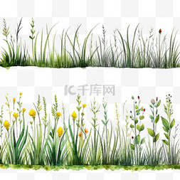 草菜图片_一组用水彩画绘制的草地边框
