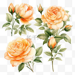 粉色玫瑰花边图片_水彩桃花玫瑰花束收藏