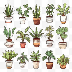 室内植物盆栽图片_手绘室内植物系列