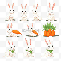 可爱的兔子与胡萝卜在不同的姿势